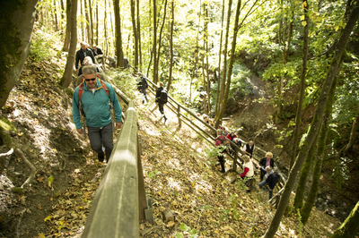 Wander-Bf_2018_Galerie_9_Foto-Emanuel_Bloedt.JPG Manuel Andrack und andere Teilnehmer*innen bei der Wanderung auf den Rothaarsteig bei der Prämierung zum Wanderbahnhof 2018 in Winterberg.